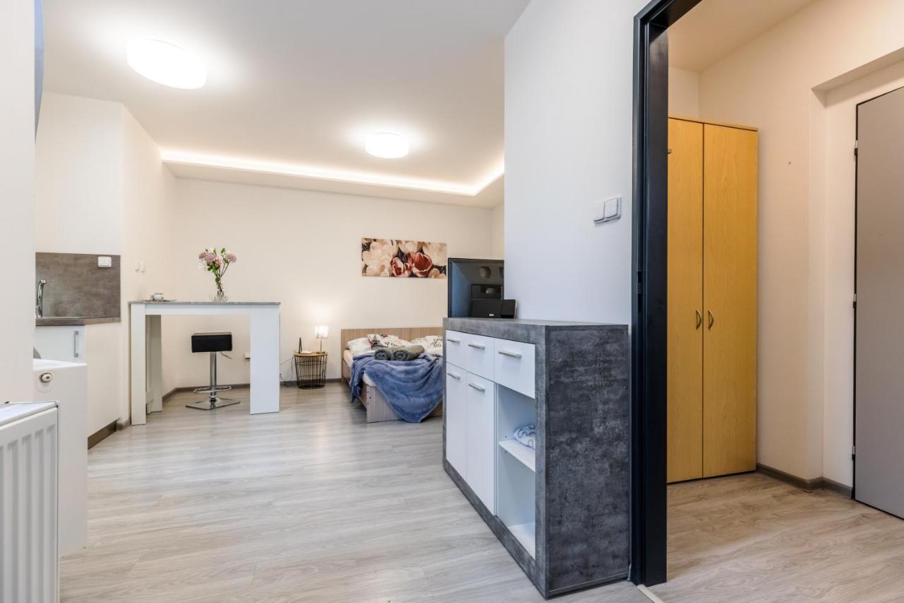 Apartia Skorepka 15, Brno-center Apartment Brünn